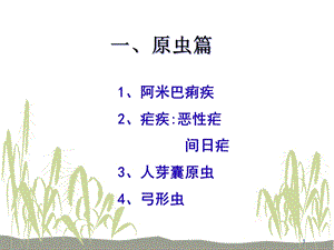 常见寄生虫病课件.ppt