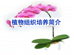 植物组织培养简介课件.ppt