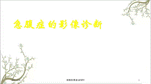 急腹症的影像诊断课件.ppt