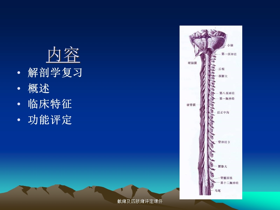 截瘫及四肢瘫评定课件.ppt_第2页