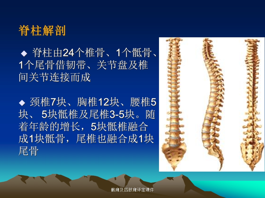 截瘫及四肢瘫评定课件.ppt_第3页