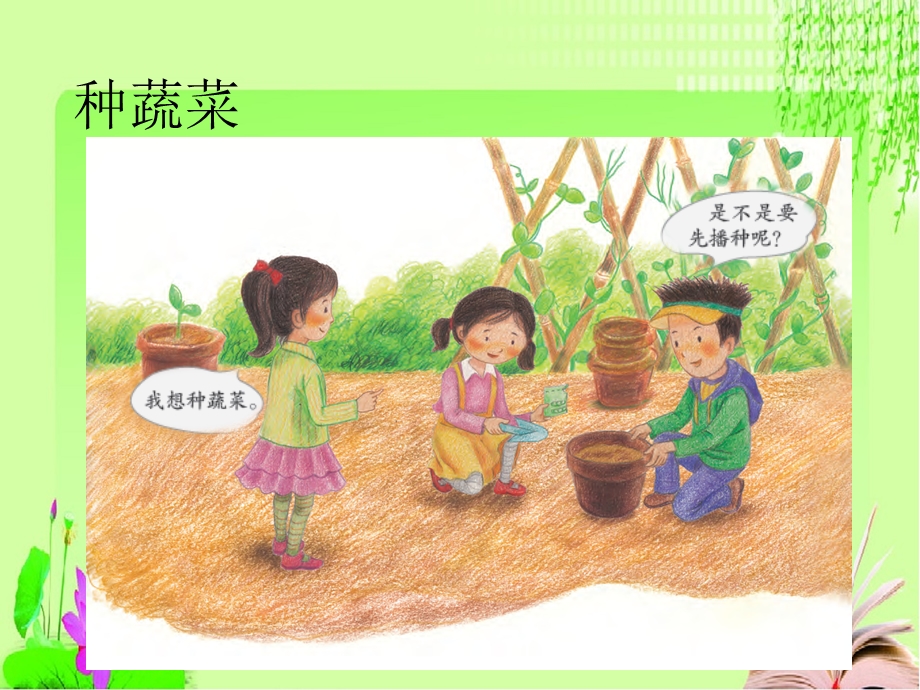 小学科学二年级高效课堂《动手种蔬菜》课件.pptx_第3页