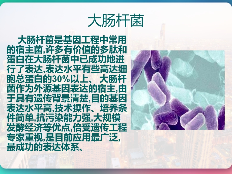 大肠杆菌培养基的优化及发酵罐操作课件.pptx_第3页