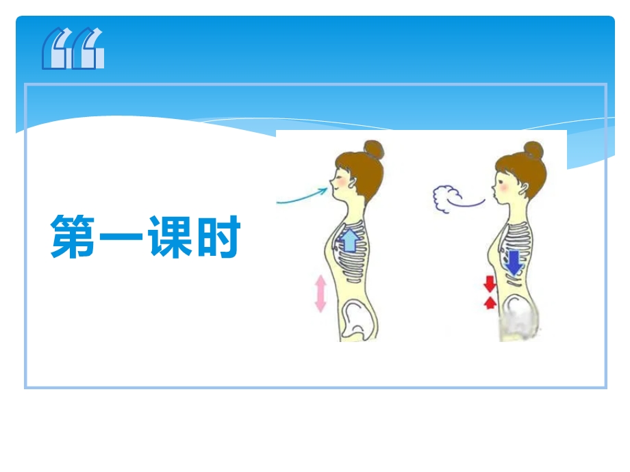 湘教版四年级上册科学第二单元2《我们的呼吸》课件.pptx_第2页