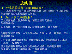 放线菌医学课件.ppt