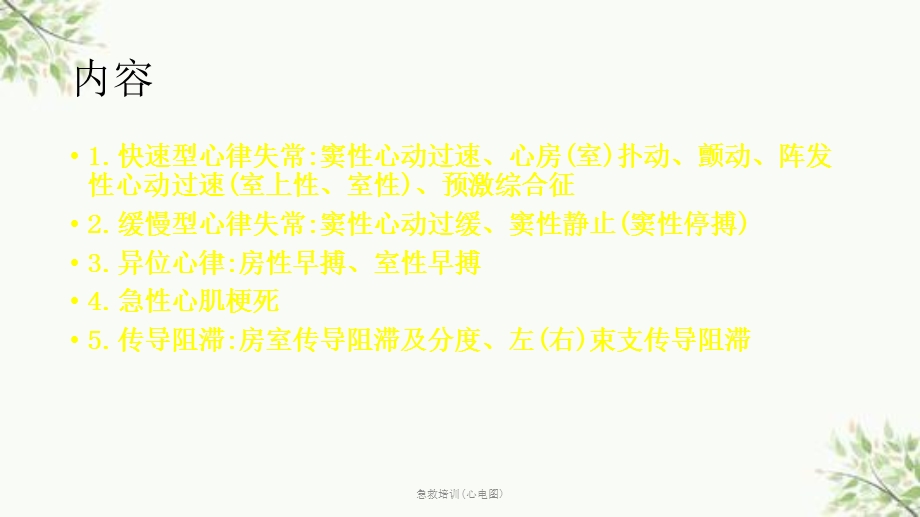 急救培训(心电图)课件.ppt_第2页