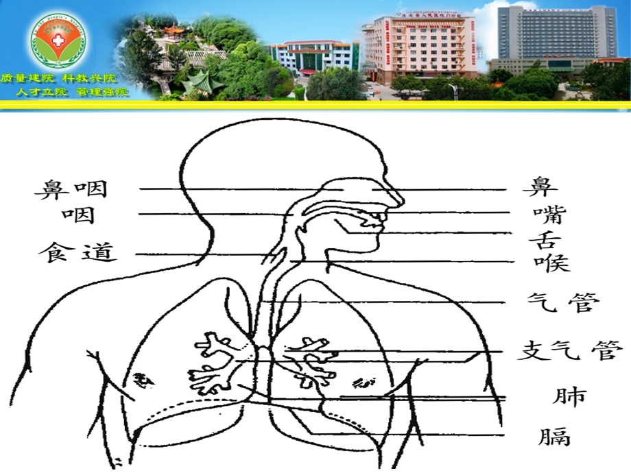 急性气道梗阻ppt课件.ppt_第2页