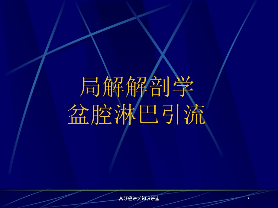 宫颈癌讲义知识讲座培训课件.ppt_第3页