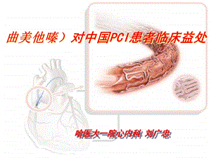 对血运重建的临床益处课件.pptx