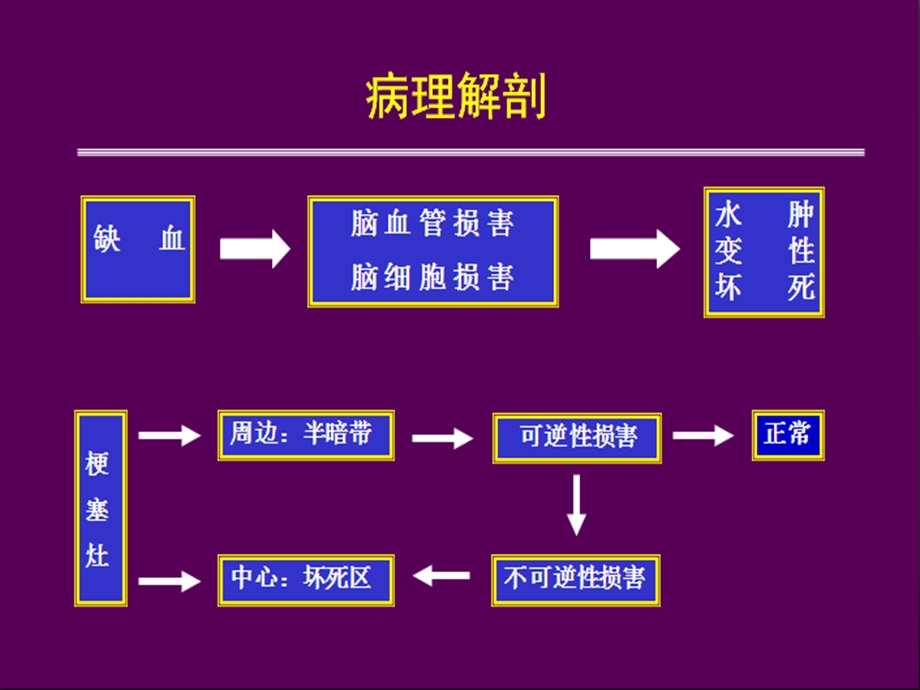 急性缺血性脑卒中诊疗规范课件.pptx_第3页