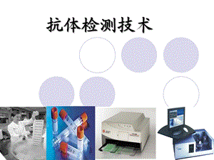 抗体检测技术与类风湿因子课件.ppt