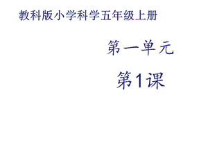 教科版五年级科学上册种子发芽实验一课件(共17张).ppt