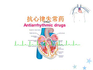 抗心律失常药课件.ppt