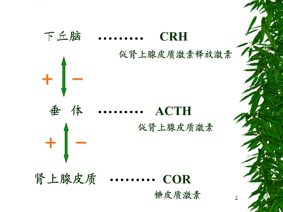 库欣综合征ppt医学课件.ppt_第2页