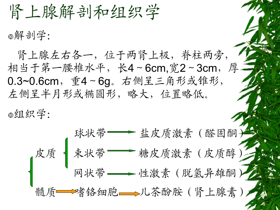 库欣综合征ppt医学课件.ppt_第3页