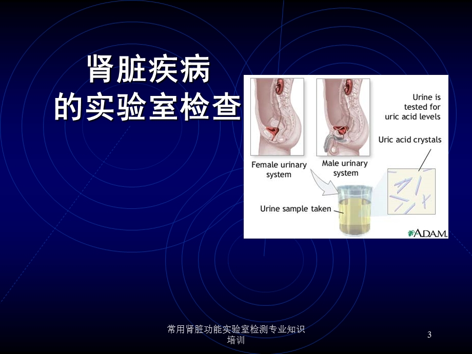 常用肾脏功能实验室检测专业知识培训培训课件.ppt_第3页