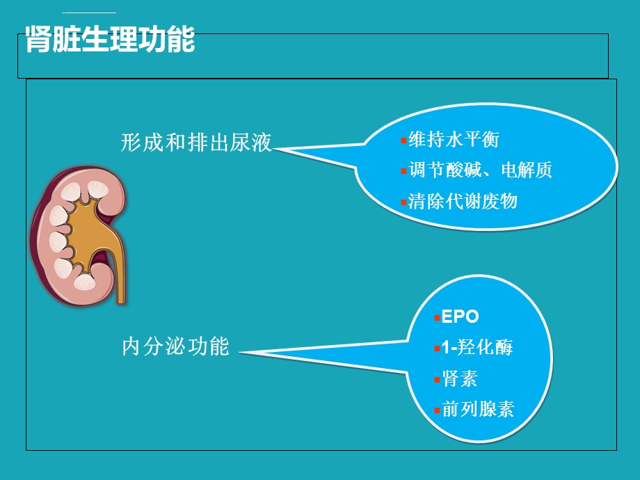 慢性肾功能衰竭腹膜透析患者护理查房ppt课件.ppt_第2页