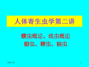 寄生虫学第二讲蛔虫课件.ppt