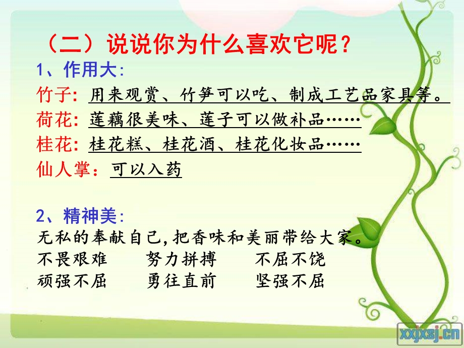 怎样写好植物作文ppt课件.ppt_第3页