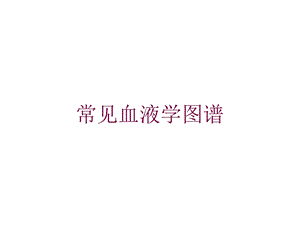 常见血液学图谱培训课件.ppt