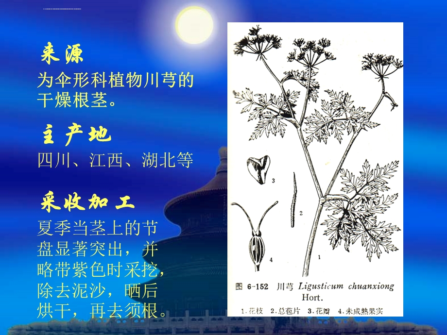 川芎的鉴定ppt课件.ppt_第3页