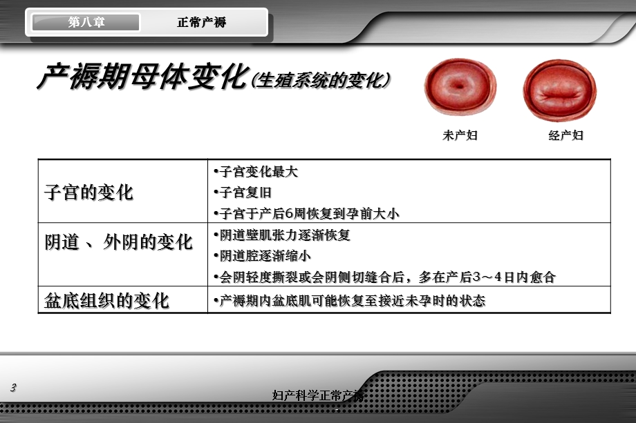 妇产科学正常产褥培训课件.ppt_第3页