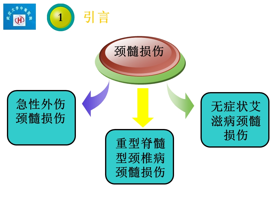 扩散张量成像在脊髓损伤中的应用精选课件.ppt_第3页