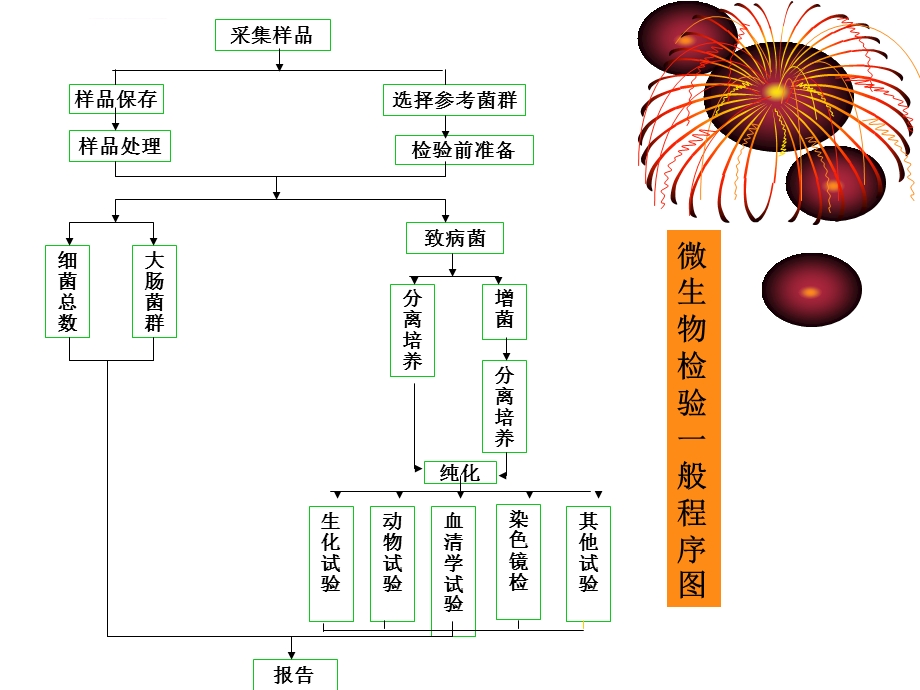 微生物检测一般流程解析ppt课件.ppt_第2页