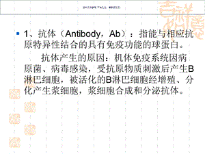 抗体制药医学宣教课件.ppt