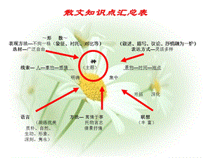 散文知识点归纳(清晰)ppt课件.ppt