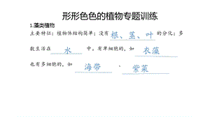 形形色色的植物专题训练ppt课件.pptx