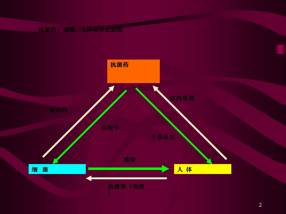 抗生素药效学与临床应用课件.ppt_第2页