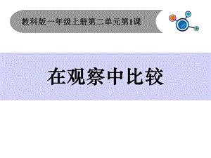 教科版小学科学一年级上册：21在观察中比较课件.ppt