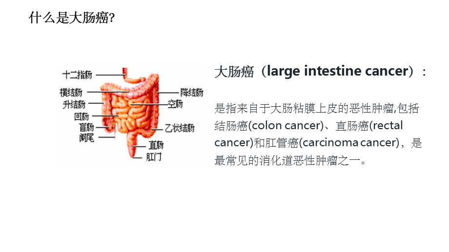 大肠癌科普讲座课件.pptx_第3页