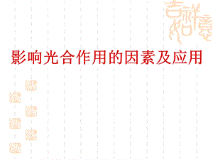 影响光合作用因素(实用)ppt课件.ppt