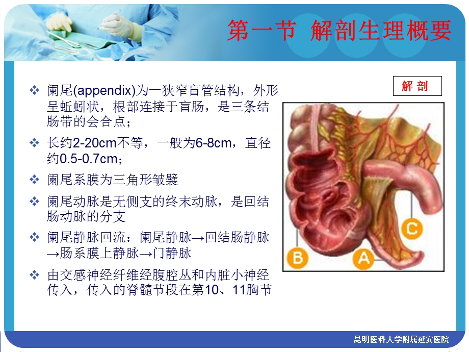 急性阑尾炎第八版课件.ppt