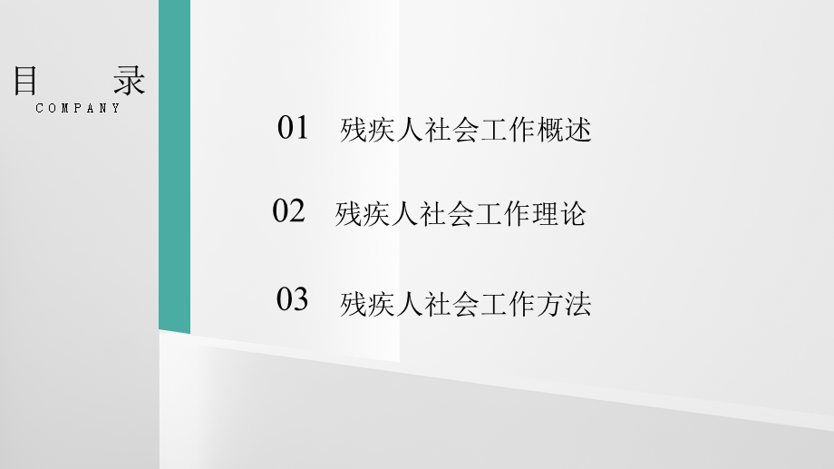 残疾人社会工作课件.pptx_第2页