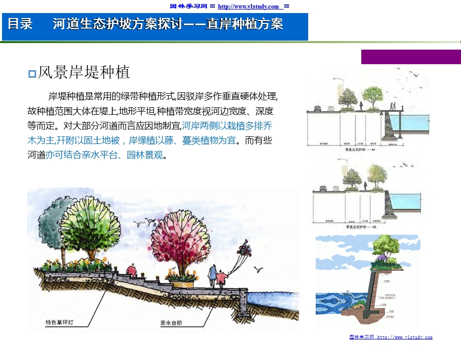 常见生态护坡形式与应用河道部分ppt课件.pptx_第2页