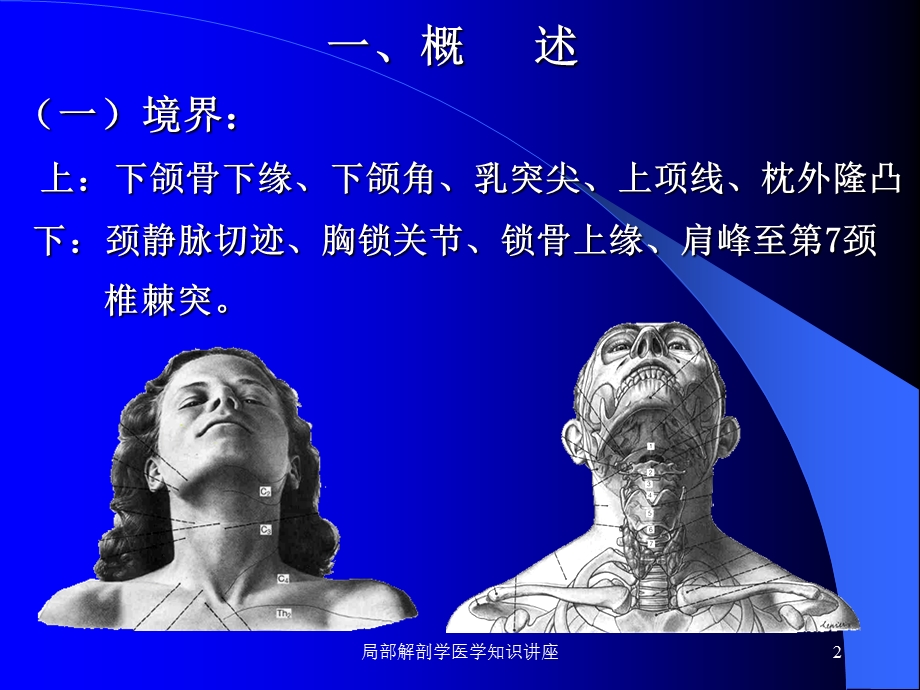 局部解剖学医学知识讲座培训课件.ppt_第2页