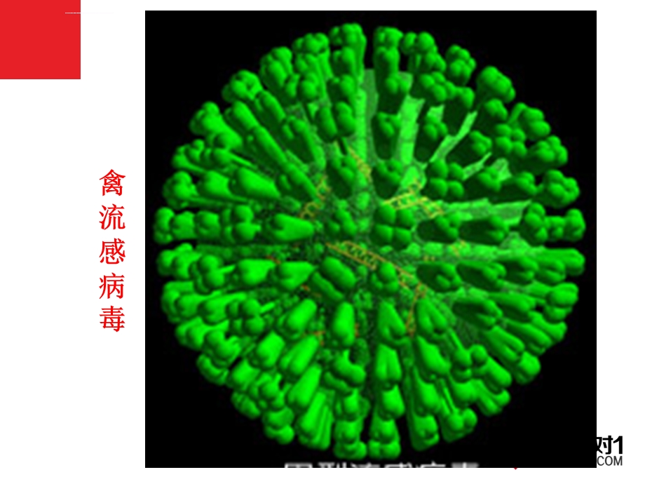 必修1第1章 第1节从生物圈到细胞ppt课件.ppt_第2页