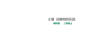 教科版科学二年级上册科学2土壤动植物的乐园课件.ppt