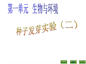 教科版五年级科学上册12种子发芽实验(二)课件.ppt