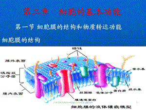 护理专业生理学细胞的基本功能课件.ppt