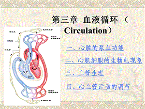 心血管活动的调节ppt课件.ppt