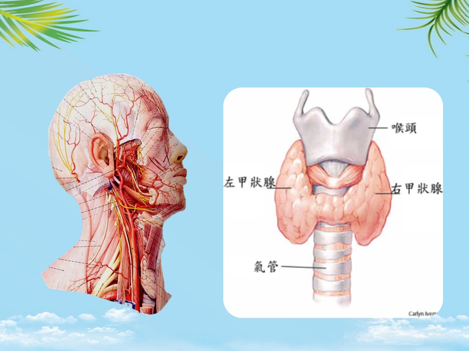 标记免疫分析临床全面课件.pptx_第3页