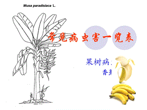 常见病虫害一览表ppt课件.ppt