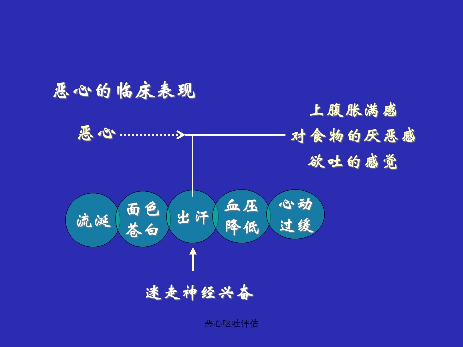 恶心呕吐评估课件.ppt_第3页