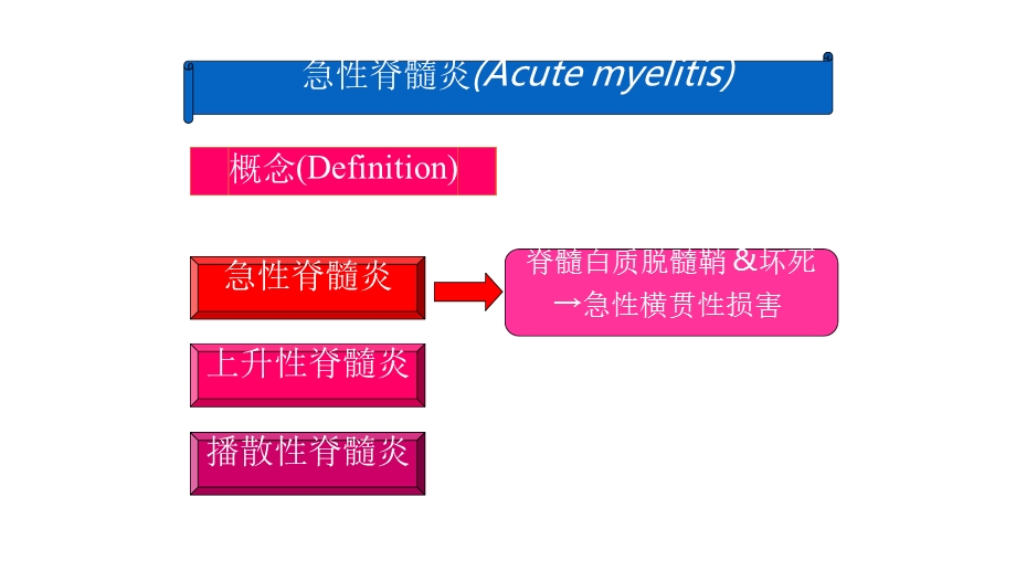 急性脊髓炎课件.ppt_第3页