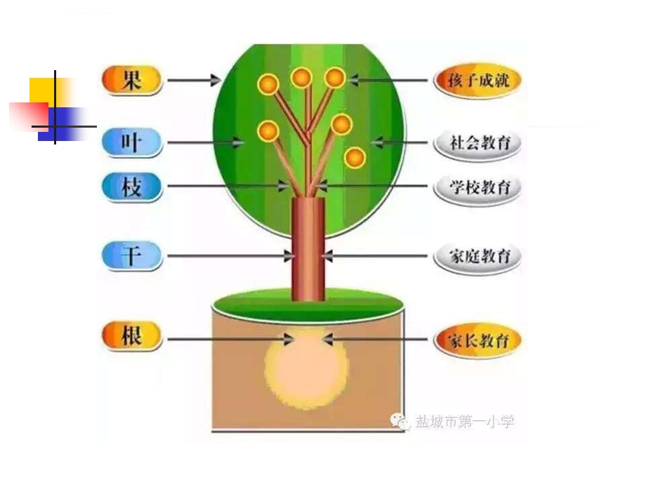 小学高年级语文学习方法ppt课件.ppt_第2页