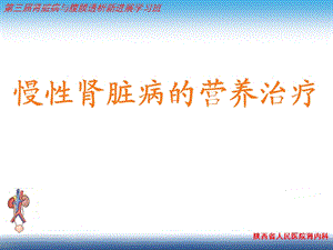 慢性肾脏病的营养治疗ppt参考幻灯片课件.ppt